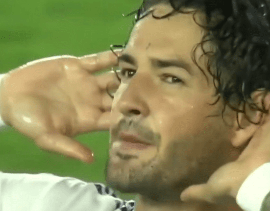 Pato