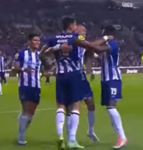 Grujic Porto