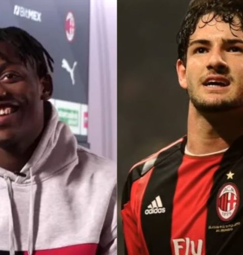 Pato - Leao