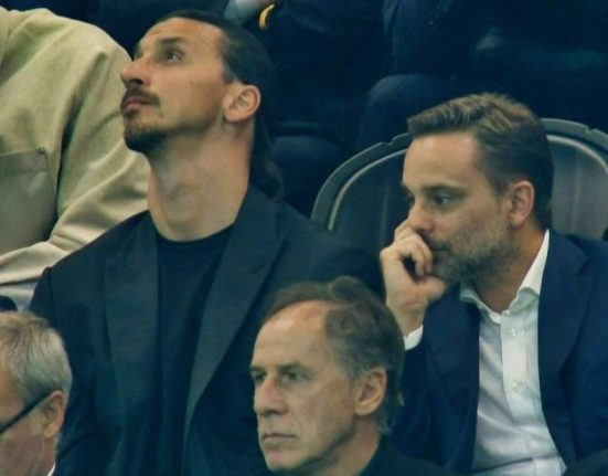 furlani ibrahimovic