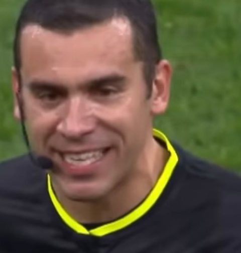 piccinini