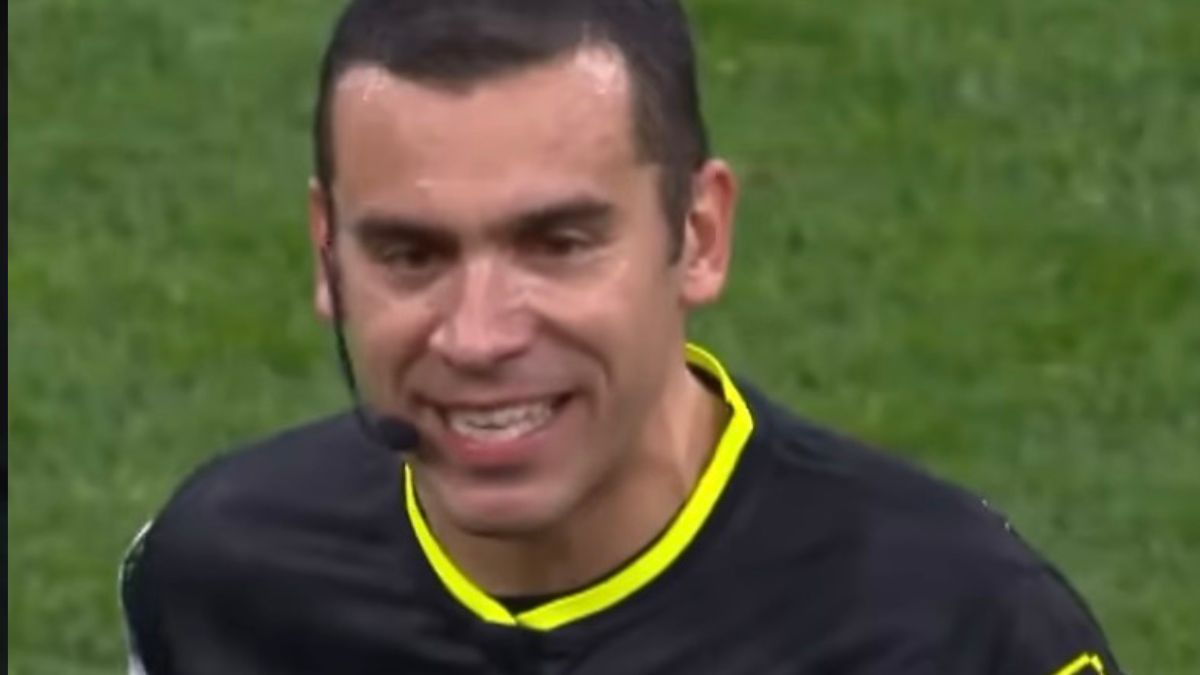 piccinini